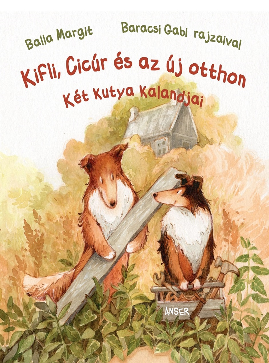 kab23